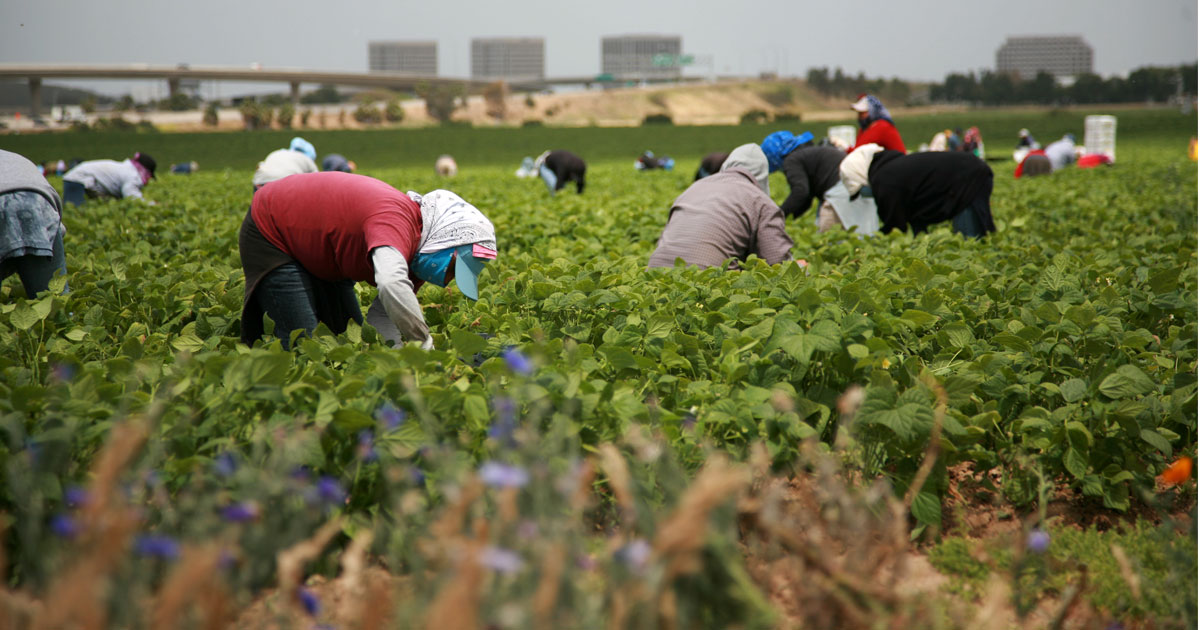 blue collar jobs